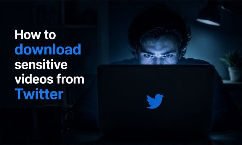 TwitterView Profile Viewer showing public sensitive-media videos selected for batch download